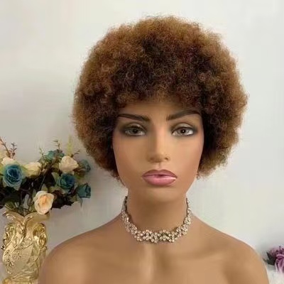 10A Brazilian human hair wig curly wig